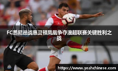 FC悉尼迎战惠灵顿凤凰争夺澳超联赛关键胜利之战